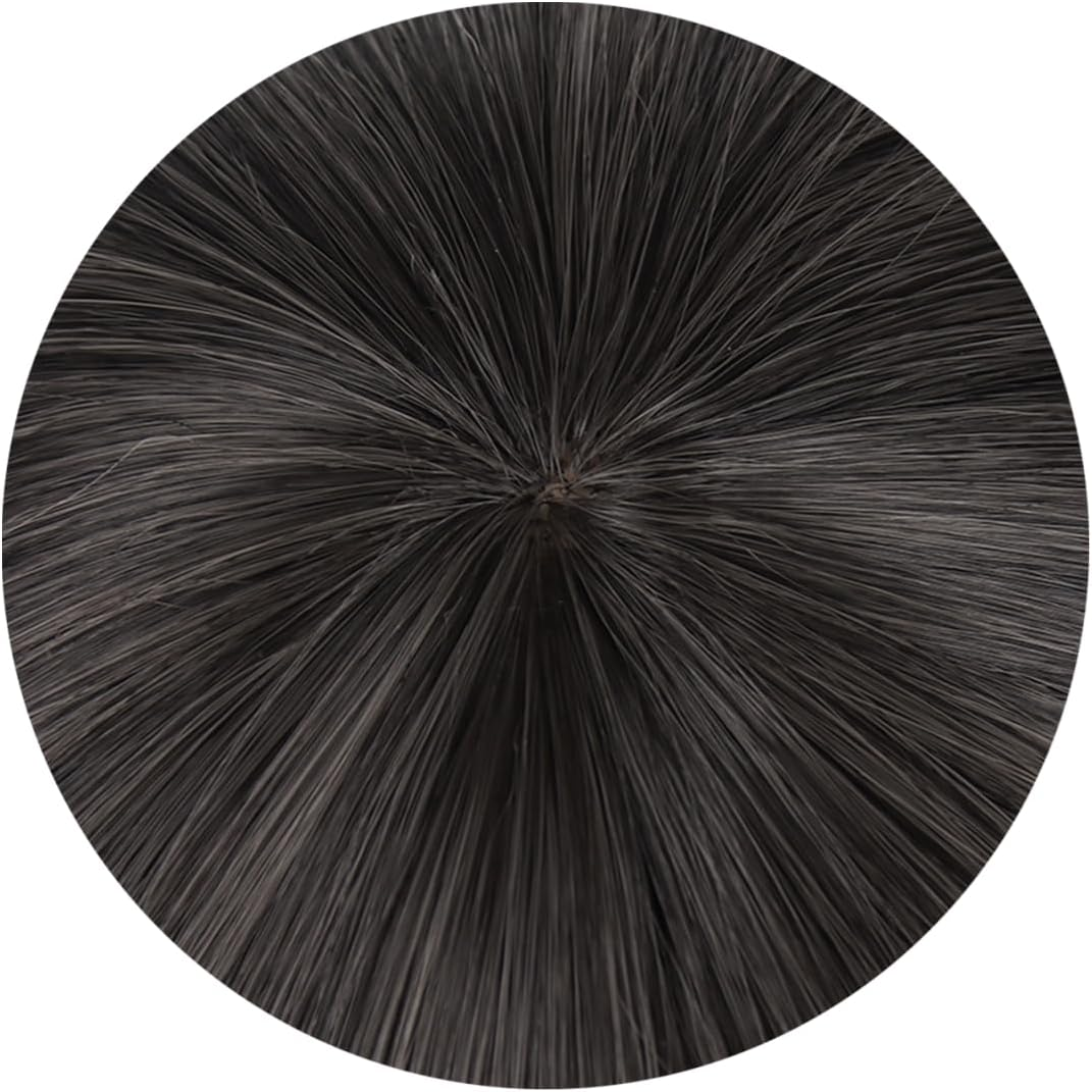 HAMISH Akemi Homura Wig Cosplay Wig with Wig Cap Heat Resistant Synthetic Hair for Manga Anime PMMM Role Play for Festival, Holiday, Cosplay Party, Comic Exhibition