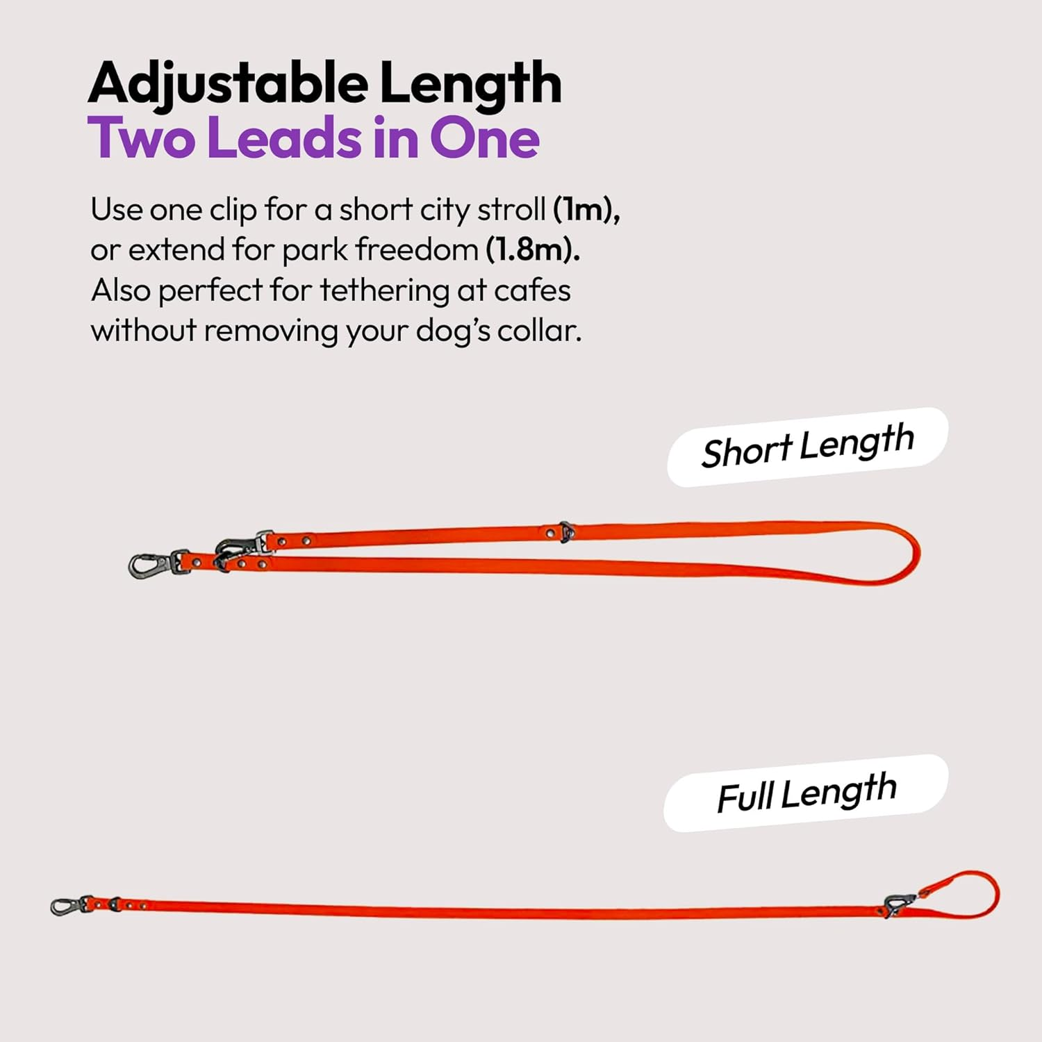 Waterproof Training Leads for Dogs & Puppies | Strong Dog Leash for Playing, Running & Walking | 6.5Ft Adjustable Long Dog Lead | Durable & Stain Resistant | Adjustable Size (Coral) image number 1
