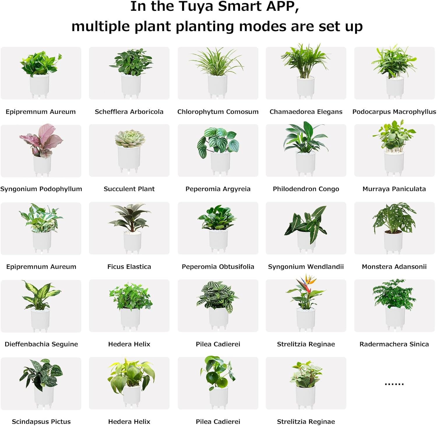 Intelligent Flower Pot, Electronic Bud, Maintenance Plant Assistant, Fun Interactive Flower Pot, Indoor Green Planting Monitoring, LCD Screen Display, Cell Phone APP Connection (White)