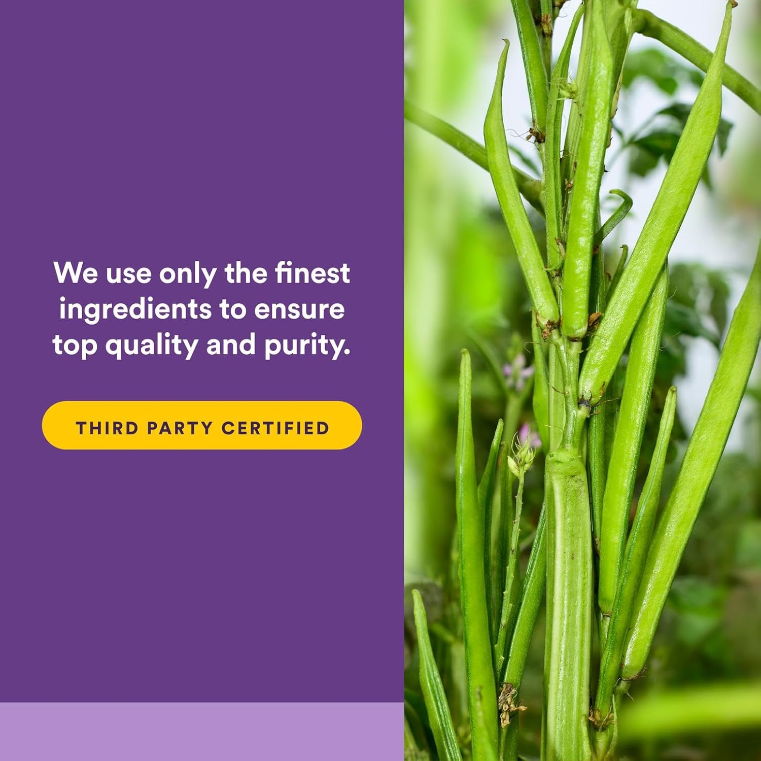 Natural Factors, Organic Low Fodmap Reliefiber, Unflavored, 5.3 Oz (150 G)