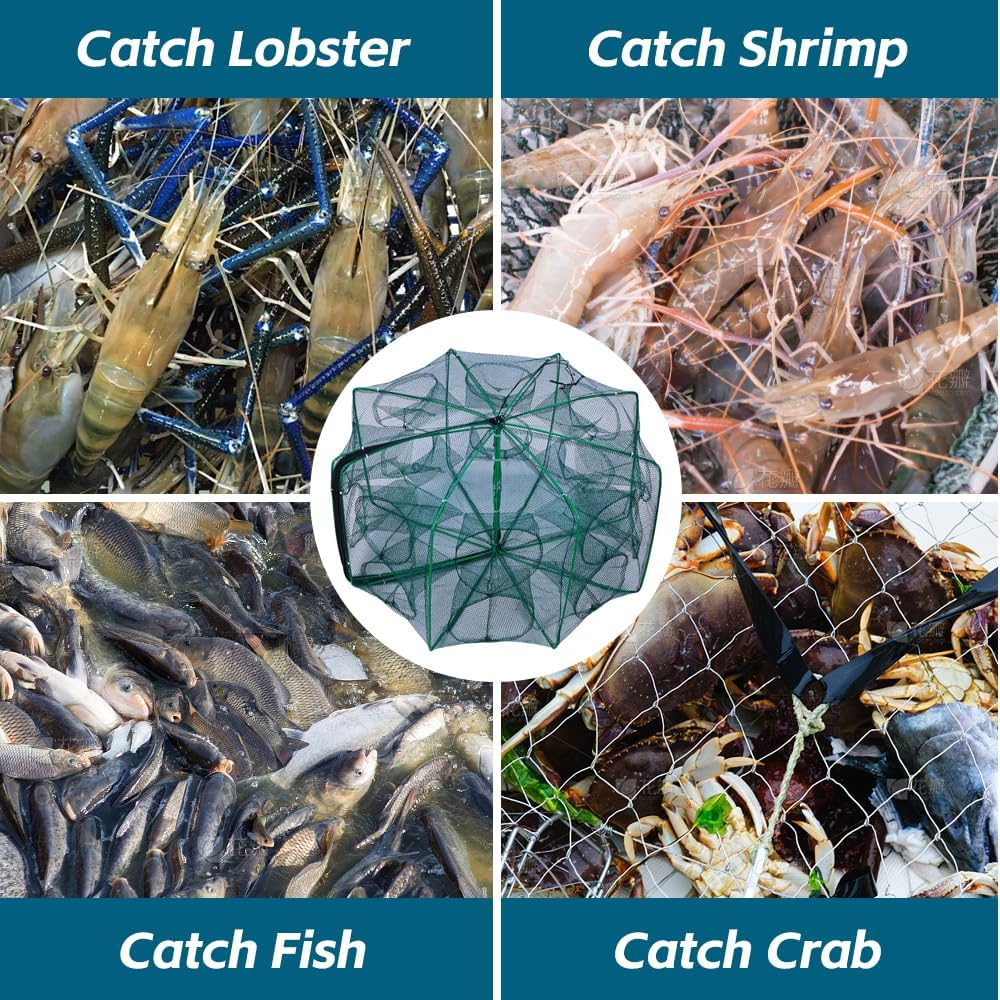 SUSOO Foldable Fishing Net with 10 Holes,Large 360&deg; Coverage Collapsible Bait Trap,Portable Nylon Fish Net Trap for Crayfish,Shrimp,Crab, Lobster and Minnow,Fishing Nets Use Easily in Second（32&rdquo;&times;10 &rdquo;）