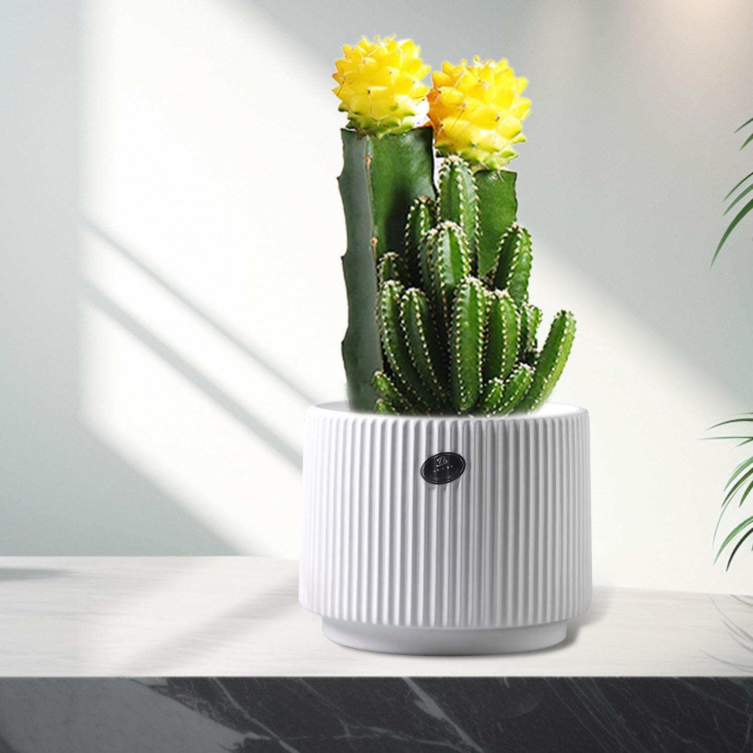 White Ceramic Plant Pot 6.5" Indoor/Outdoor Thickened Flower Planter with Drainage Holes for Plants, Succulents, Flowers, and Herbs