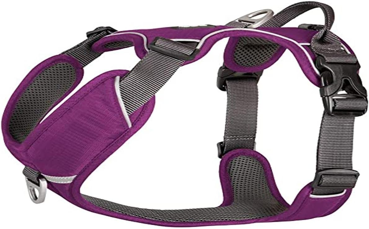 DOG Copenhagen Walk Pro Comfort Dog Harness, Large, Purple