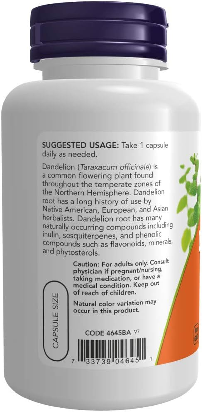 NOW Supplements, Dandelion Root (Taraxacum Officinale)500 Mg, 100 Capsules image number 1