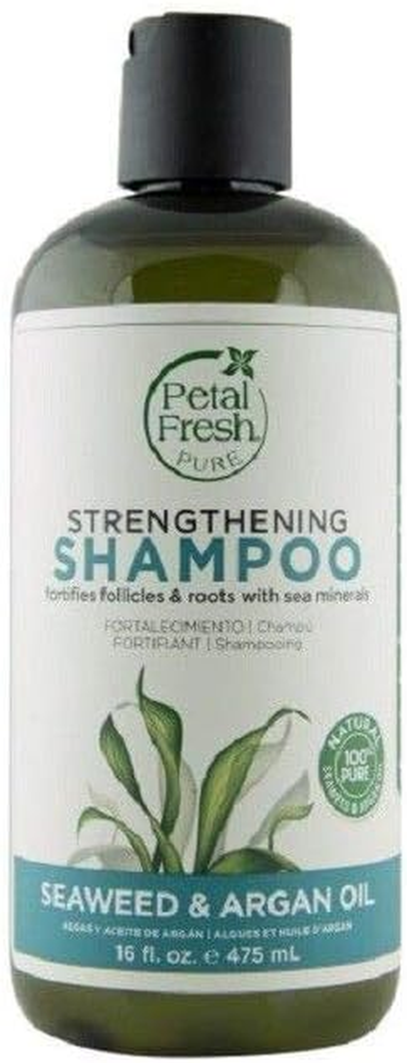 Petal Fresh Pure Strengthening Seaweed & Argan Oil Shampoo, 16 Ounce