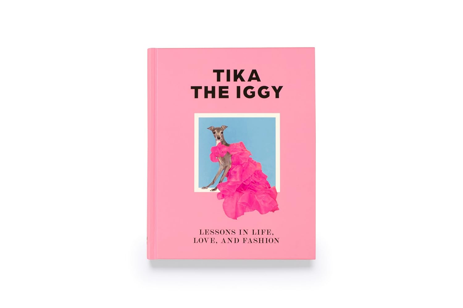 Tika the Iggy: Lessons in Life, Love, and Fashion image number 6