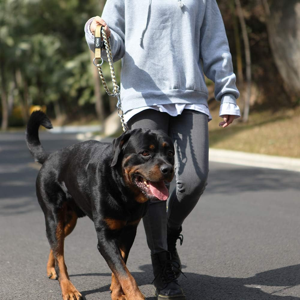 TSPRO Chew Proof Dog Leash Stainless Steel Dog Leash Metal Chain Training Dog Leash with Soft Handle for Medium Large Dog(4Mm,Yellow) image number 5