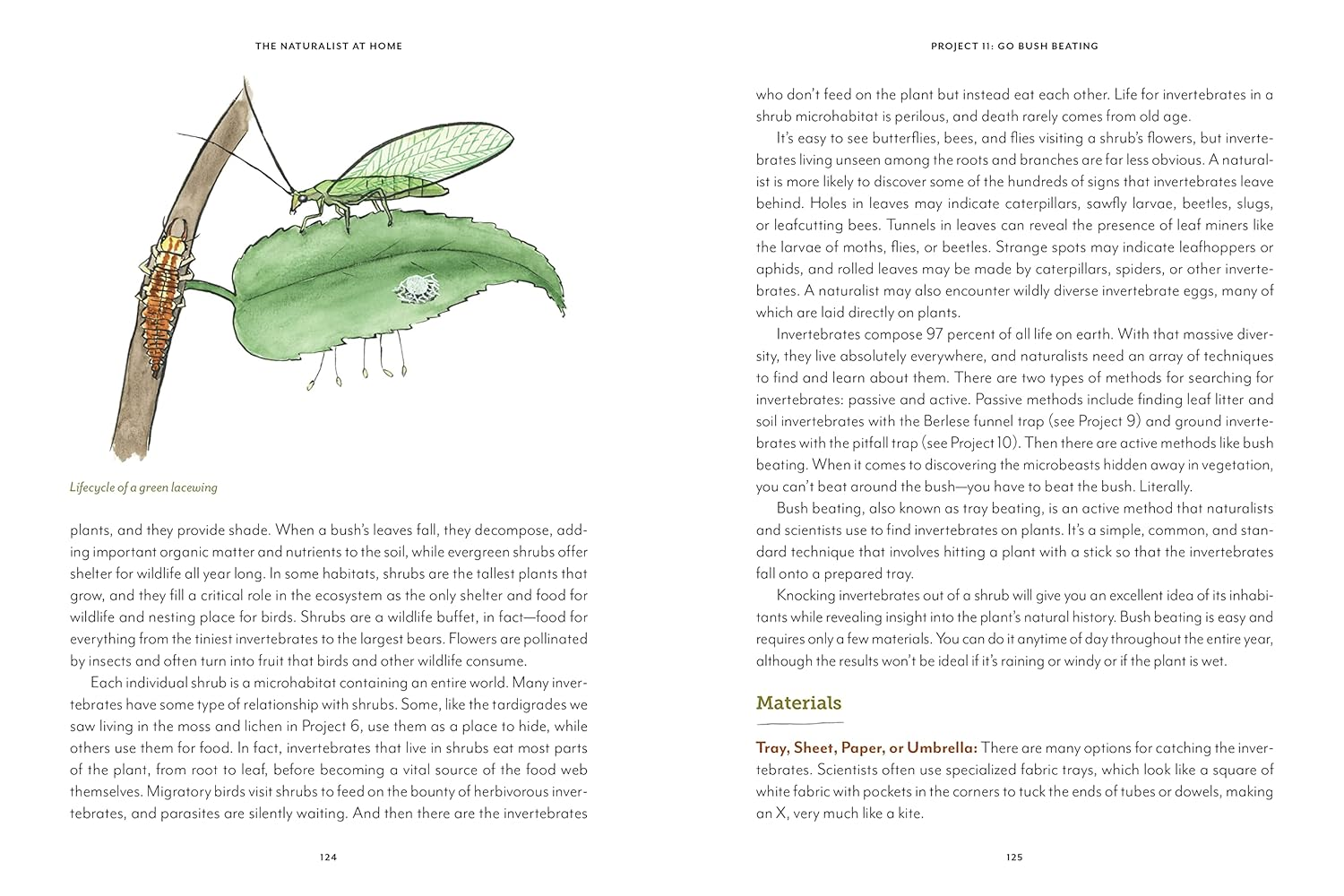 The Naturalist at Home: Projects for Discovering the Hidden World around Us image number 3