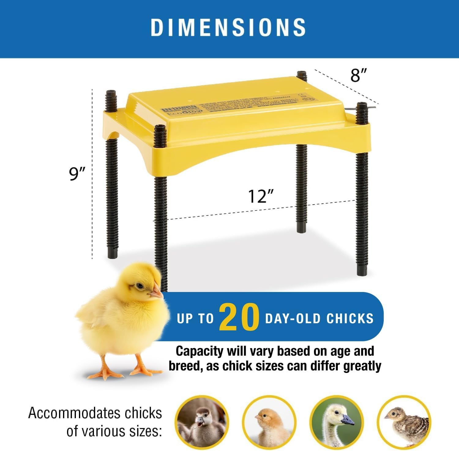 Brinsea Ecoglow Safety 600 Chick or Duckling Brooder, Adjustable Height & Angle Brooder Plate for 20 Chicks, Ideal for Chicken Coops Poultry Heating with Safety Indicator, 12 Watts