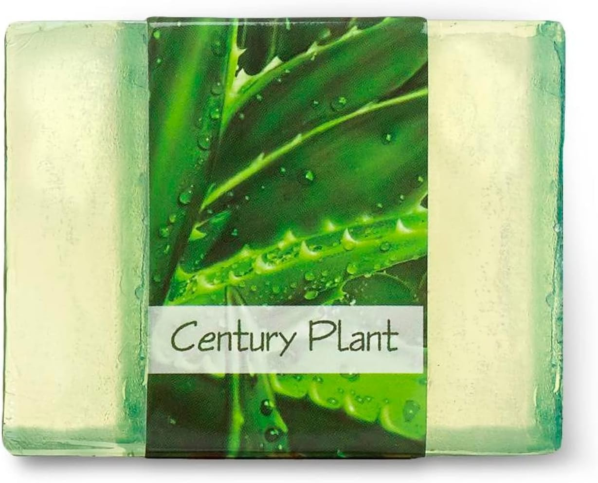 Glycerin Soaps by Nabila K (Century Plant) image number 2