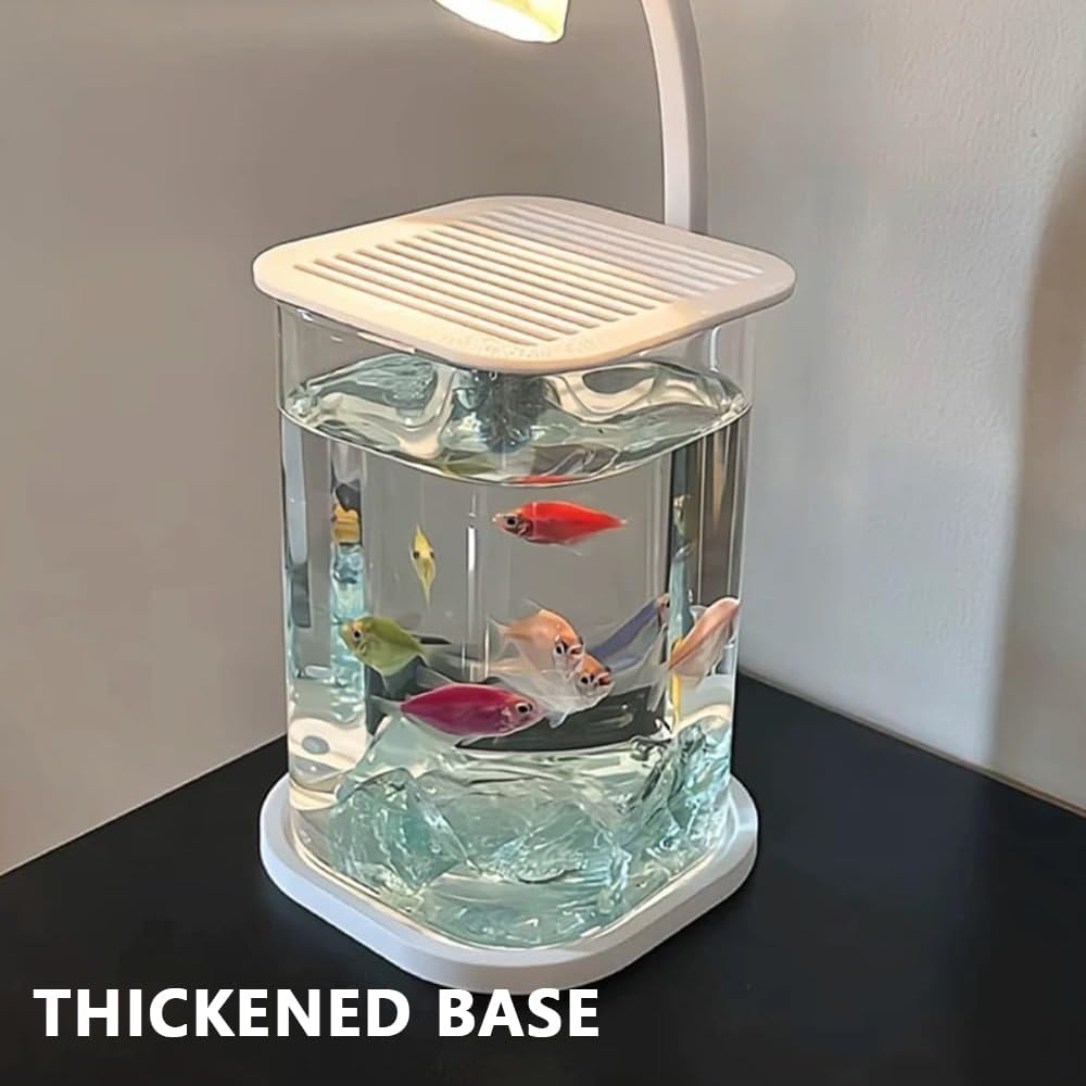 Mini Desktop Glass Aquarium with LED Light &ndash; 10&times;10&times;15Cm Small Fish Tank for Betta, Shrimp, or Aquatic Plants &ndash; Compact Rimless Tank for Home or Office Decor image number 3