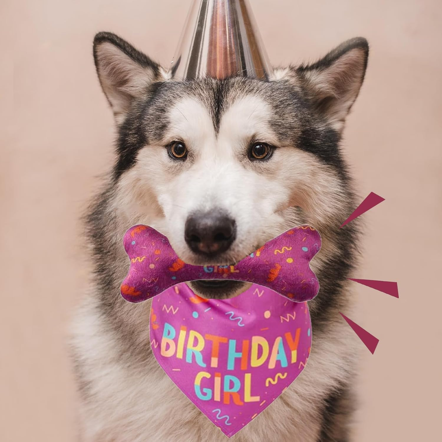 Dog Birthday Triangle Bib, Dog Birthday Bandana, Birthday Dog Bandana, Birthday Bone Toy with Dog, Suitable for Small, Medium and Large Female Dogs and Cats image number 6