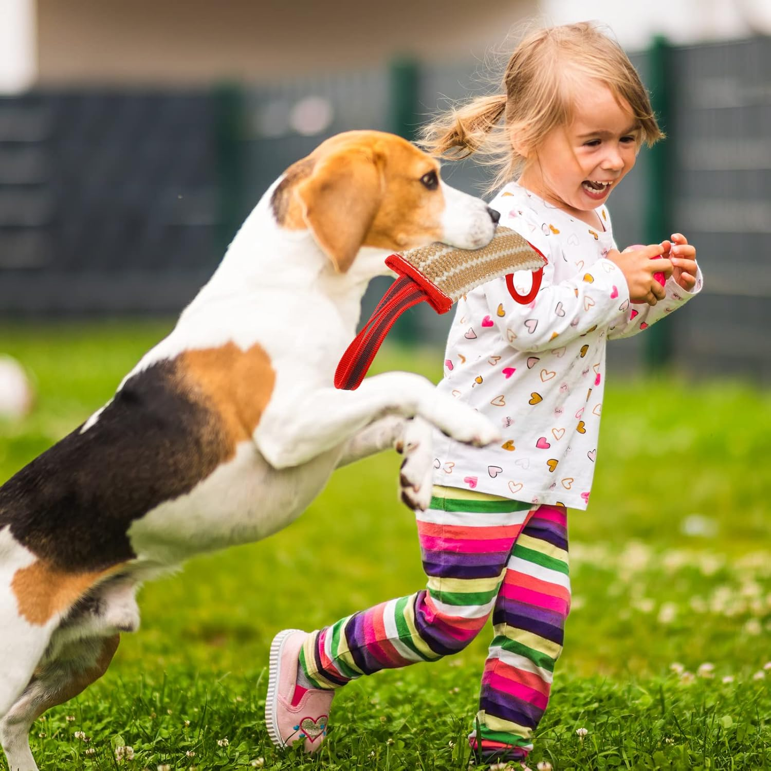 Libima 2 Pcs Dog Bite Pillow Tug Toy Dog Pillow with Strong Handles Tug of War Training Tools Toy Linen Pad for Puppy Young Small Medium Pets Interactive Play Training