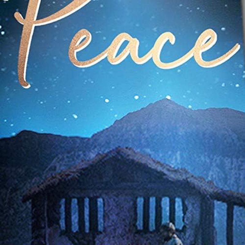 Three Rooker Nativity Ties Mens Christmas Neckties Holiday Tie Religious Ties for Men, Black, One Size