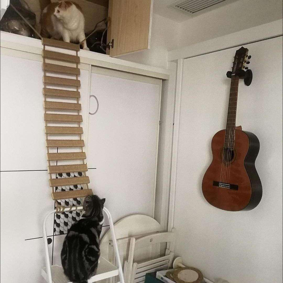 Cat Climbing Frame Bridge, Pet Furniture Cat Step,Sisal Rope Bridge,Cat Climbing Ladder,Cat Tree Tower with Hammock (100Cm Full Sisal Ladder)