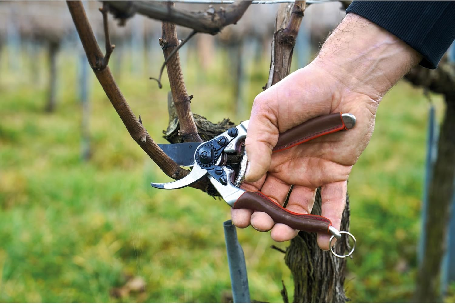 FELCO 8 ELITE Pruning Shears &ndash; 8.3" Swiss-Made Garden Clippers with Leather-Wrapped Handle for Large Right Hand | Hand Pruners for Gardening | Garden Tool Cutter with Bypass Blade, Carbon Steel