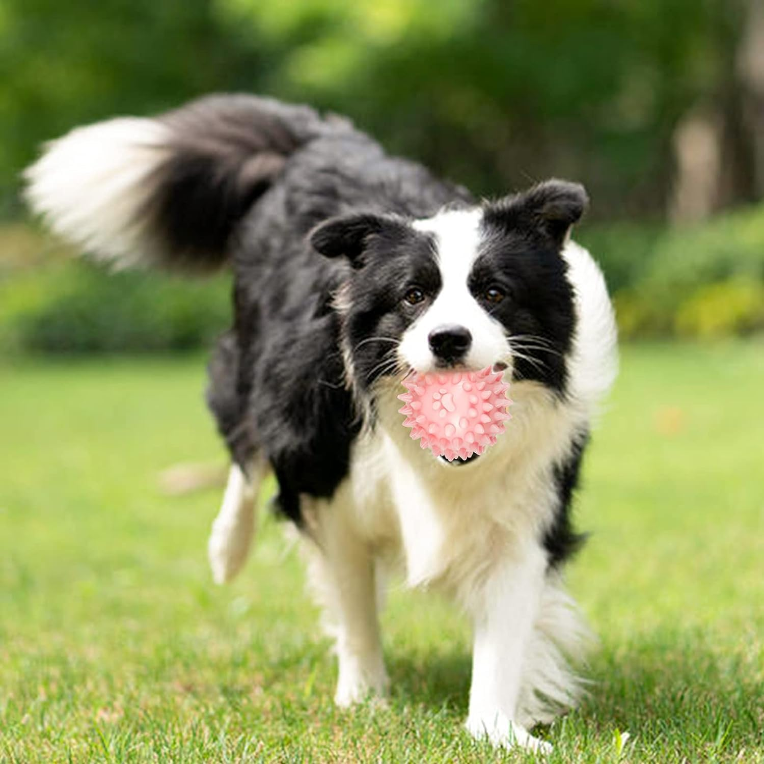 6 Pcs Puppy Chew Toys Set, Cute Safe Rope Toys Teeth Clean Toys Set with Cotton and Rubber for Small Dogs,Washable Cotton Rope Dog Toy image number 2