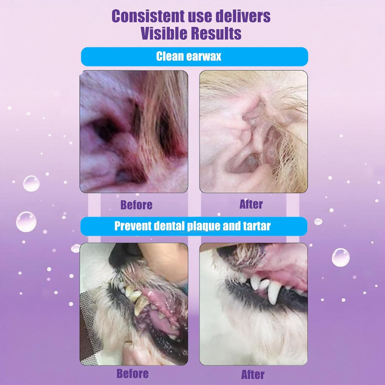 JXMIYACOO Pet Dental & Body Wipes for Dogs & Cats &ndash; Chamomile & Coconut Oil Formula Freshens Breath, Cleans Paws & Tear Stains &ndash; 60 No-Rinse Finger Wipes