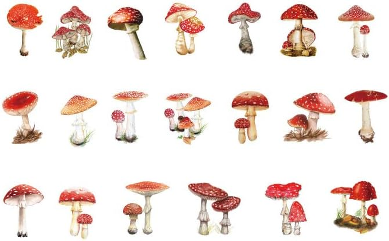 40 PCS Scrapbooking Flower Feather Stickers Journal Diary Transparent Sticker, 40-60Mm Size Range, Lightweight and Vibrant