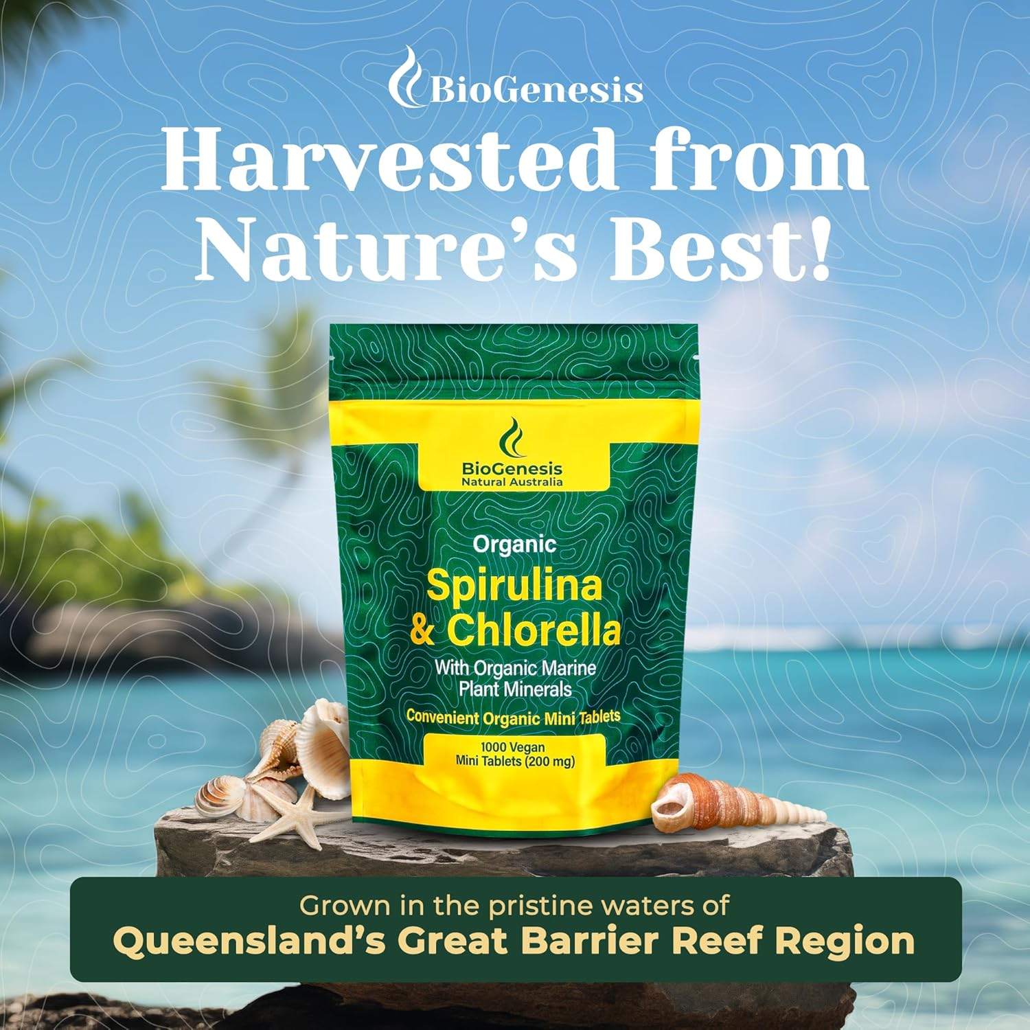 Biogenesis Spirulina & Chlorella Mini Tablets Australia | Organic Marine & Plant Animals | 1000 Vegan Mini Tablets (200Mg image number 3