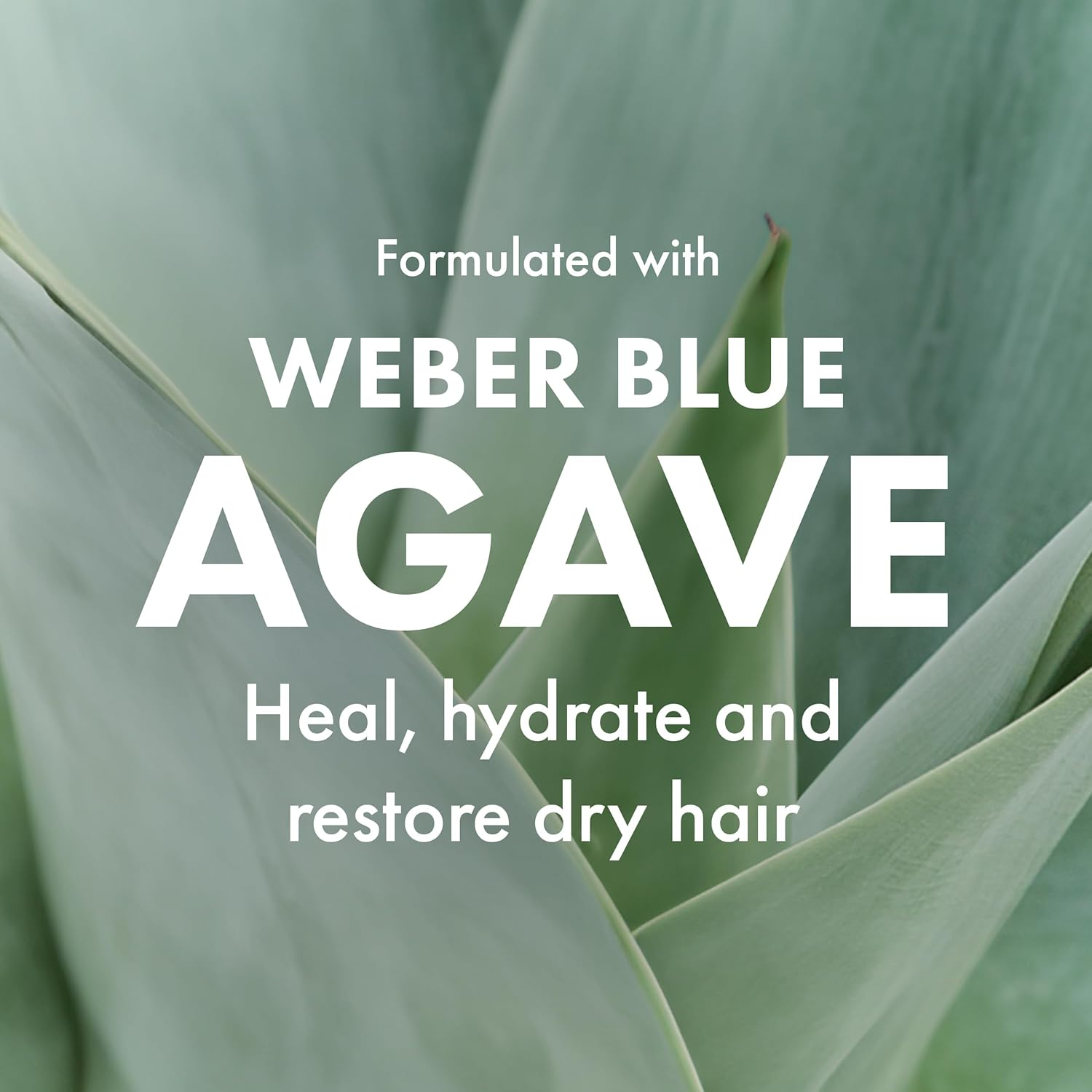 Agave Healing Oil Oil Treatment by Agave Healing Oil for Unisex image number 2