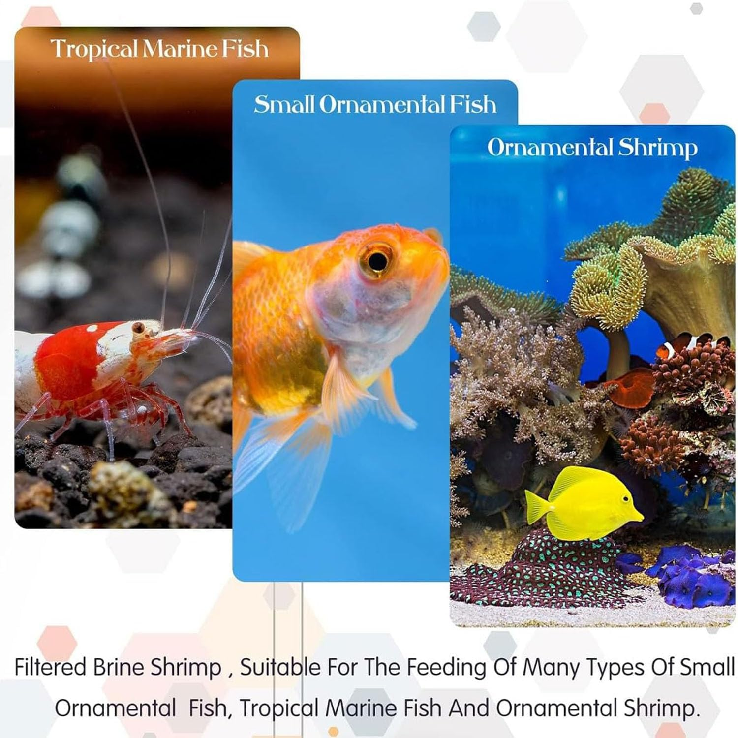 6 Pcs Mesh Baby Brine Shrimp Sieve, 100 Mesh 200 Mesh 400 Mesh Aquarium Sieves for Hatchery, Filter Brine Shrimp Hatchery Fry Brine Shrimp Eggs for Hatching Baby Fish Separator image number 1