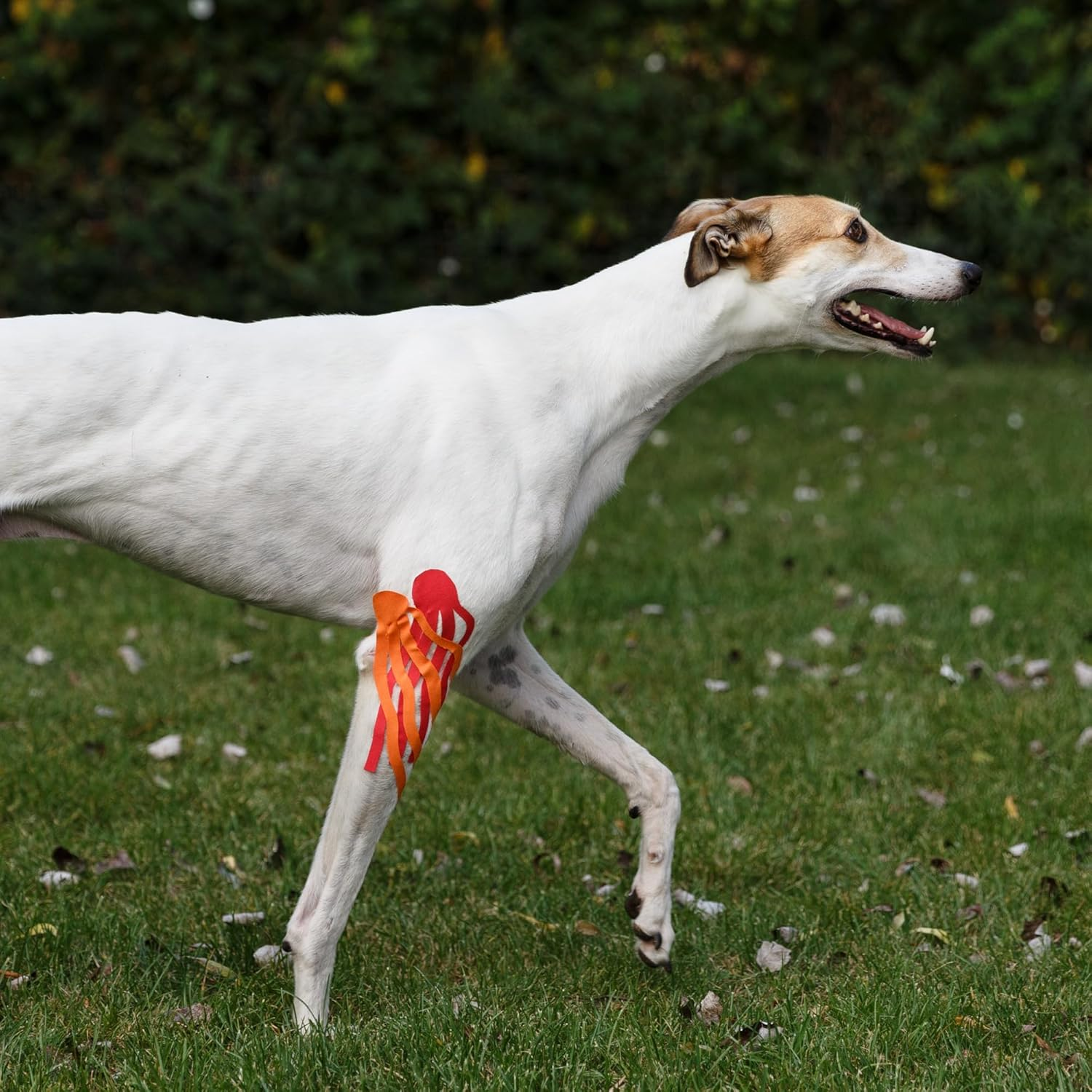 Curetape Classic 5Cm | Waterproof Kinesiology Tape | Medical Kinesiology Tape | Increase Mobility & Performance | Reduce Joint Pain | Recover Faster (Yellow) - Black image number 3