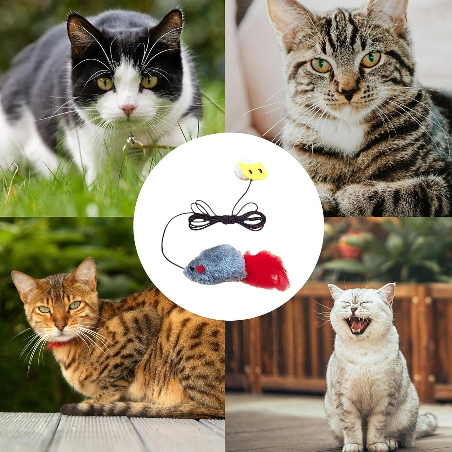 Shurzzesj Mouse Cat Toy | Kitten Mouse Toys,Cat String Toy Hangable Cat Teaser Elastic String Interactive Cat Feather Toys for Cat Kitten Exercise image number 3