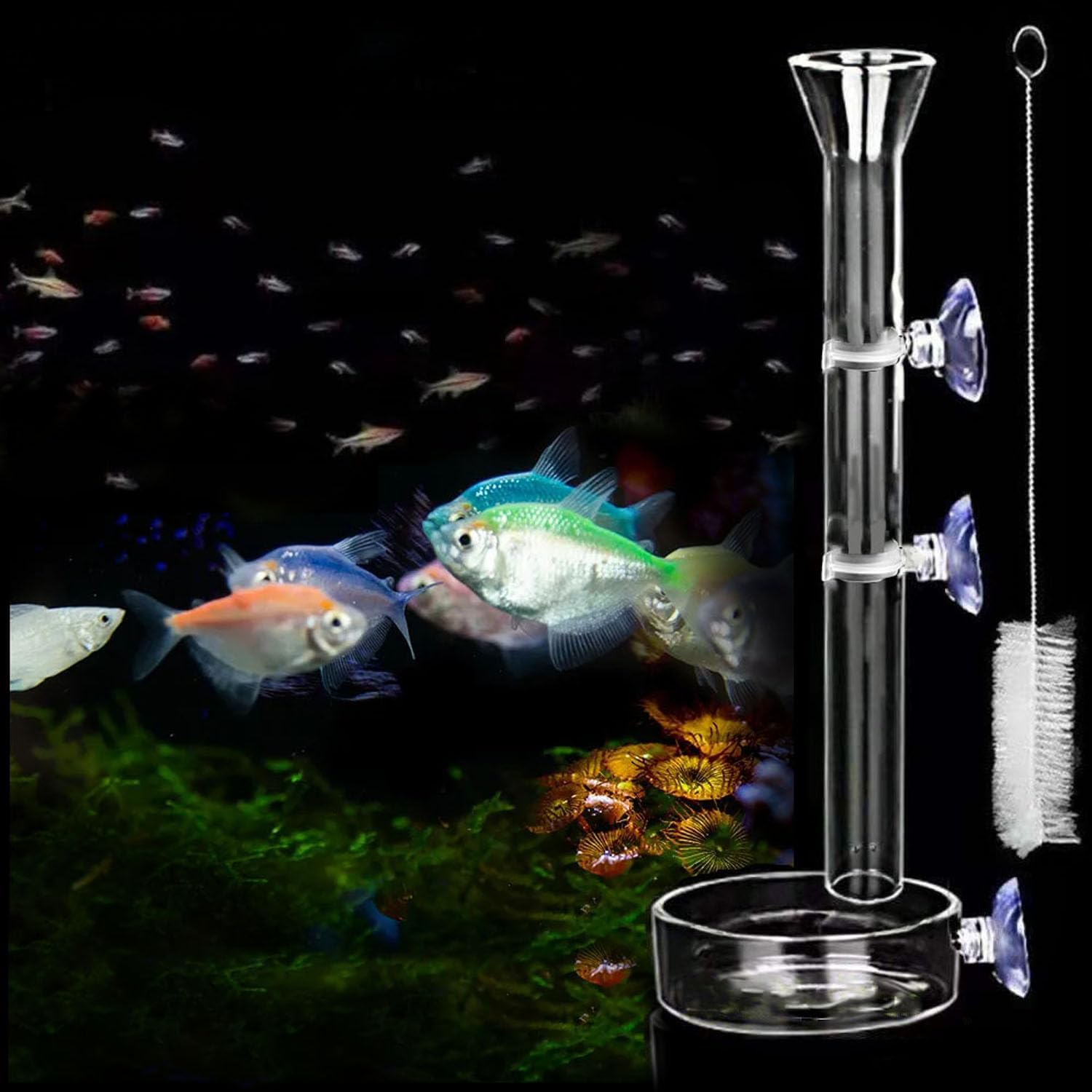 Mtxorvix Shrimp Feeding Tube and Dish, Fish Tank Feeding Ring, Glass Shrimp Feeding Tube and Dish for Aquarium Shrimp, Fish Tank Shrimp Feeder with Glass Bowl and Suction Cups (25CM) image number 2