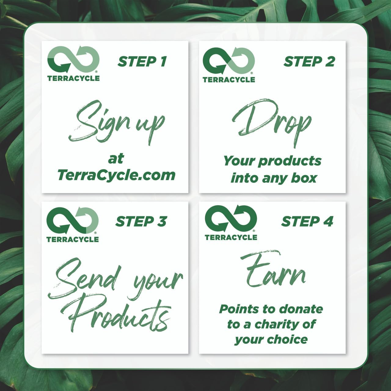 Schwarzkopf Extra Care Blonde Purple Shampoo 250 Ml image number 1