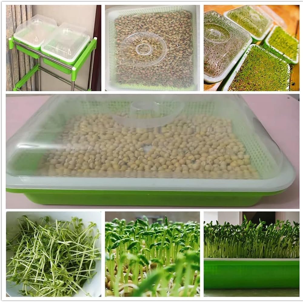 HYAVIA Seed Sprouter Tray Kit &ndash; 3-Pack Bpa-Free Soil-Free Sprouting Containers and Drain Tray for Growing Wheatgrass, Beans, Alfalfa, Microgreens &ndash; White & Green image number 2