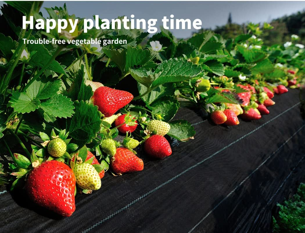 Weed Mat 1.83Mx100M Plant Control Weedmat Pebbles Gravel Woven Fabric image number 1