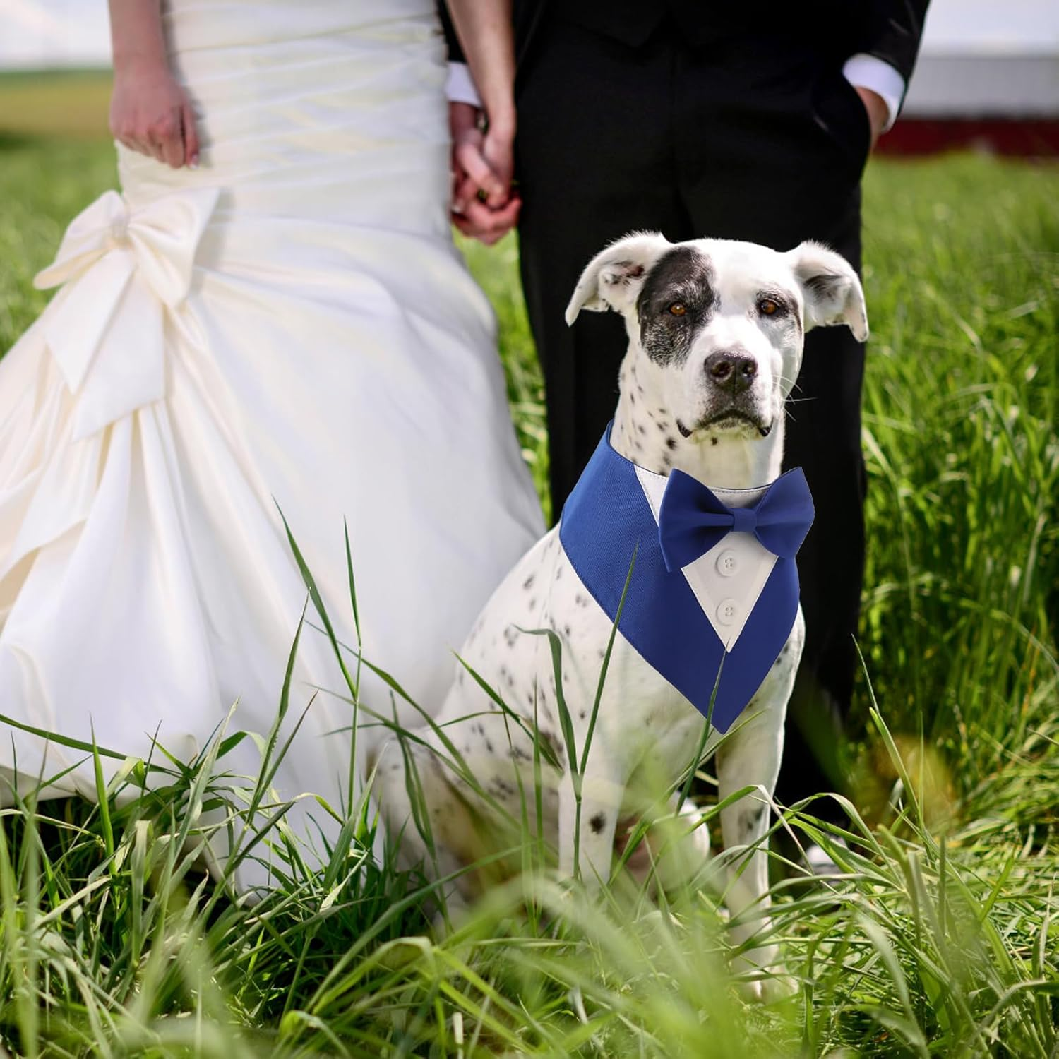 Liebedd Neckerchief Dog, Bow Tie, Dog Pet Triangular Scarf, Dog Tuxedo Bandana, Adjustable Dog Costume, Headscarves, Formal Dog Wedding Outfit for Birthday Party image number 6