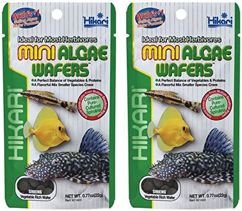 HIKARI Mini Algae Wafers 22G *Pack of Two* - BUNDLE