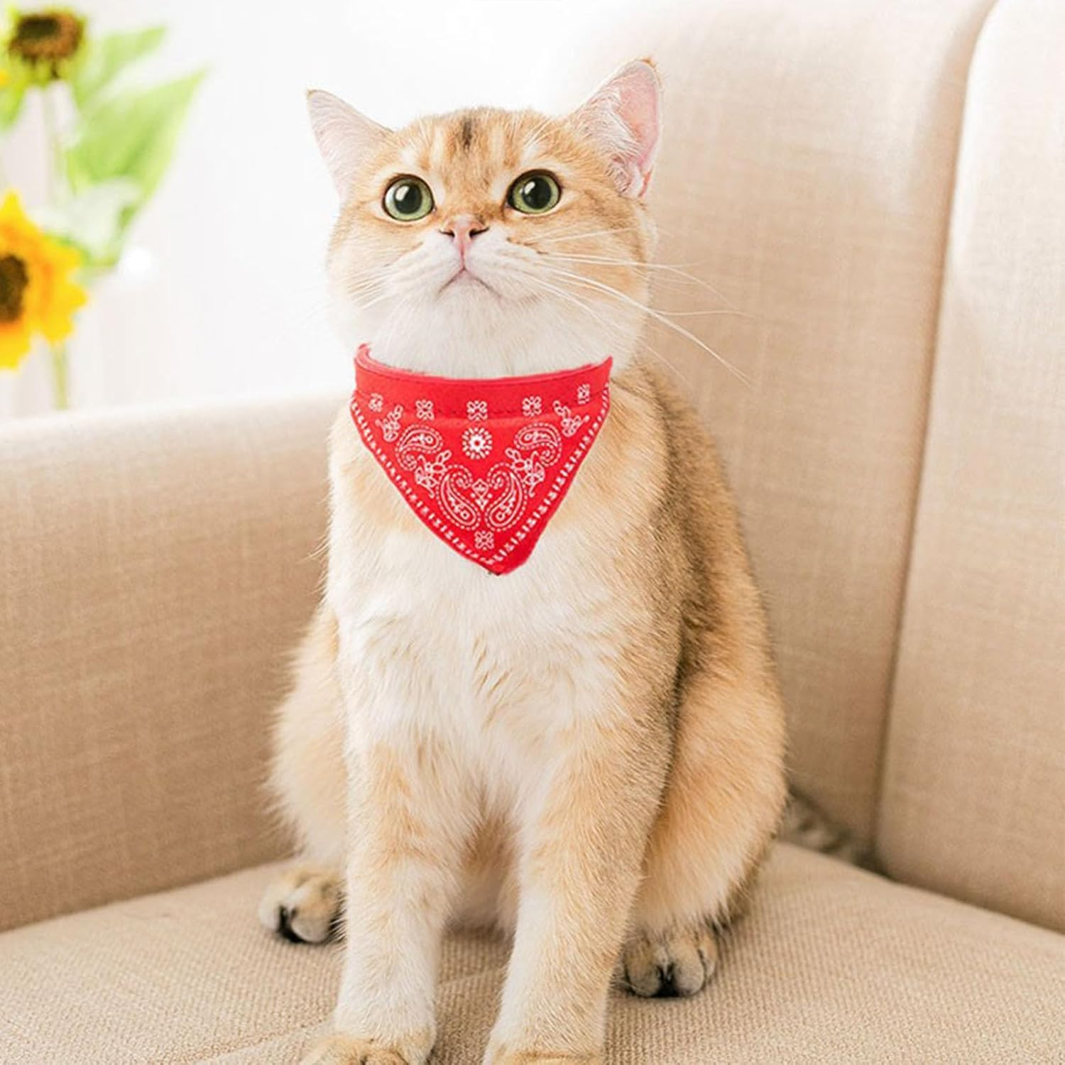 Pack of 4 Dog Bandanas Collar with Adjustable Straps, Pet Triangle Bib, Pet Saliva Cloth, Dog Bandana Headscarves, Triangular Scarf Dog Bandana, for Small, Medium Dogs and Cats, M