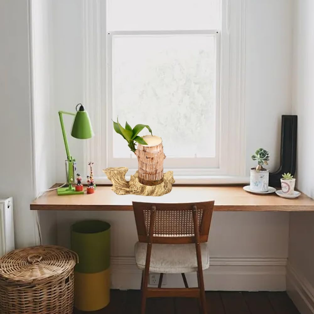 Brazilian Wood Hydroponic Plant Tray, Resin Flowerpot, Indoor Air Purifying, Tabletop Decoration image number 5