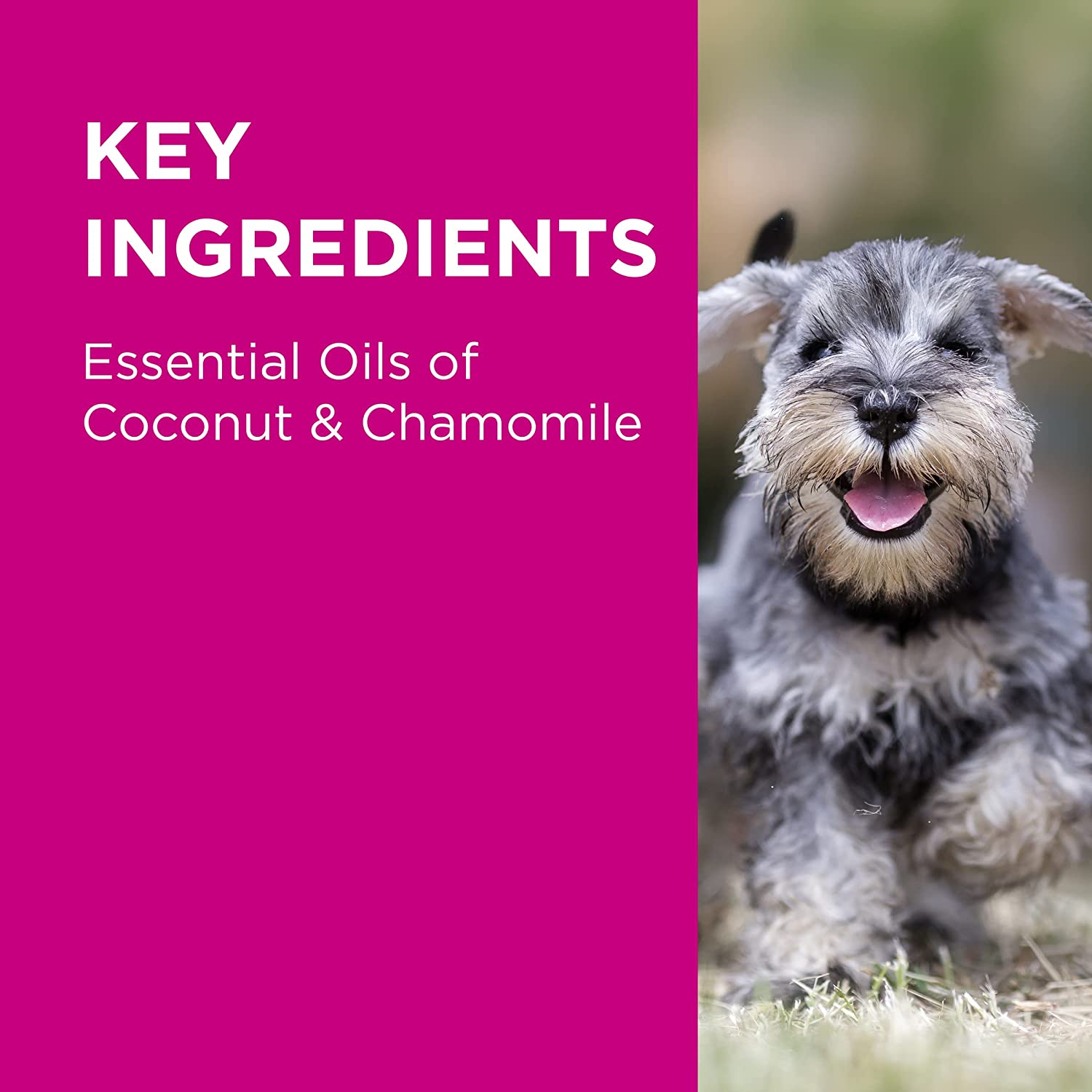 PAW by Blackmores Gentle Puppy Conditioning Spray | Moisturises, Freshens & Detangles Coat |200Ml image number 5