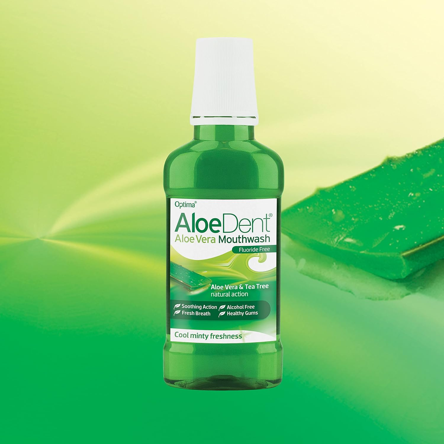 Aloe Dent Aloe Vera Mouthwash, Fluoride Free, Natural Action, Vegan, Cruelty Free, SLS Free, Alcohol Free, for Healthy Gums, 250Ml (Pack of 2) image number 3