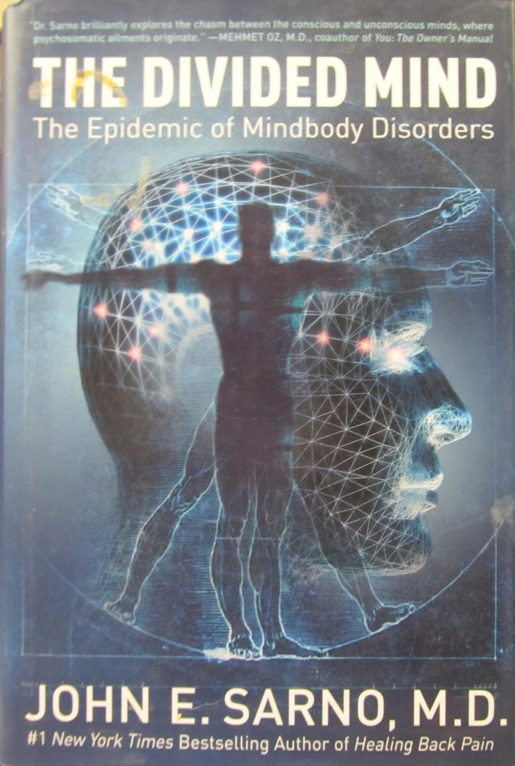 The Divided Mind: the Epidemic of Mindbody Disorders