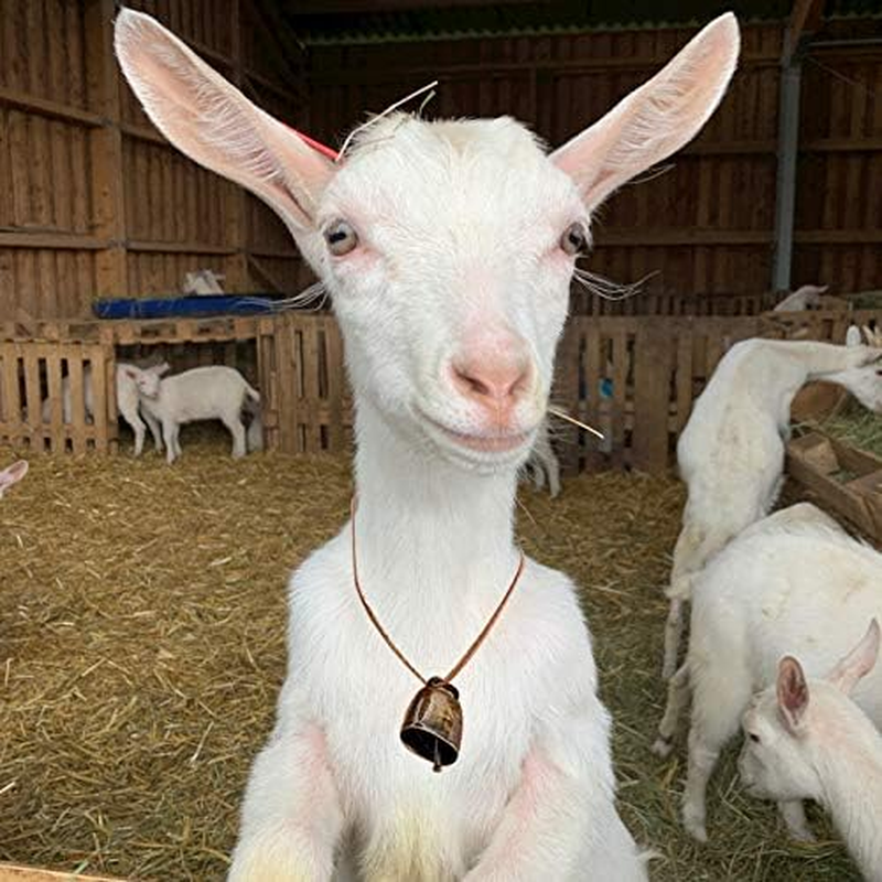 5 Pack Grazing Copper Bells, Metal Cow Bells for Dogs, Animal Copper Loud Bronze Bell, Small Brass Bell, for Cow Horse Sheep Cats Small Pets Anti-Theft Accessories (Bronze) image number 2