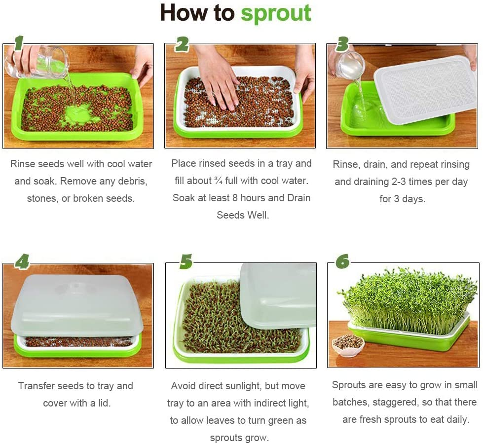 SUNPRO 2-Pack Seed Sprouter Tray BPA Free PP Soil-Free Big Capacity Healthy Wheatgrass Grower Sprouting Container Kit with Lid (2, Green) image number 3