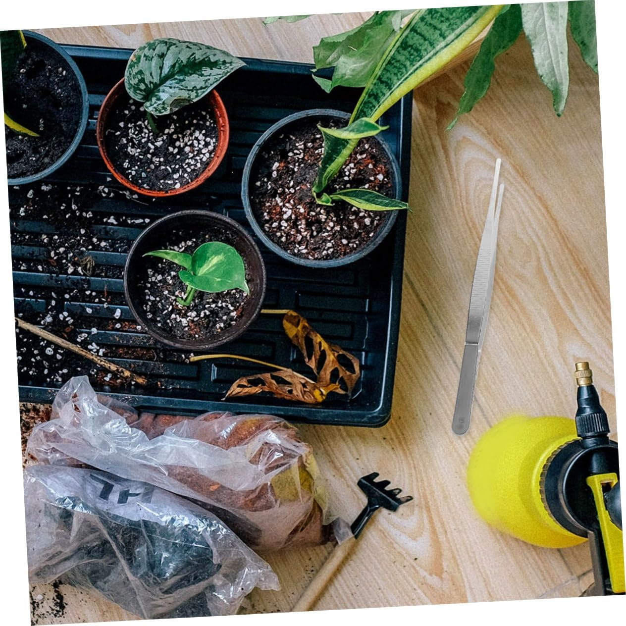 OFFSCH 10Pcs Garden Tweezers for Gardening and Bonsai, 18Cm Thickened Long Straight Tip Planting Tool with Teeth, Multi-Use Portable Craft Tweezer for Gardeners and Plant Care image number 5