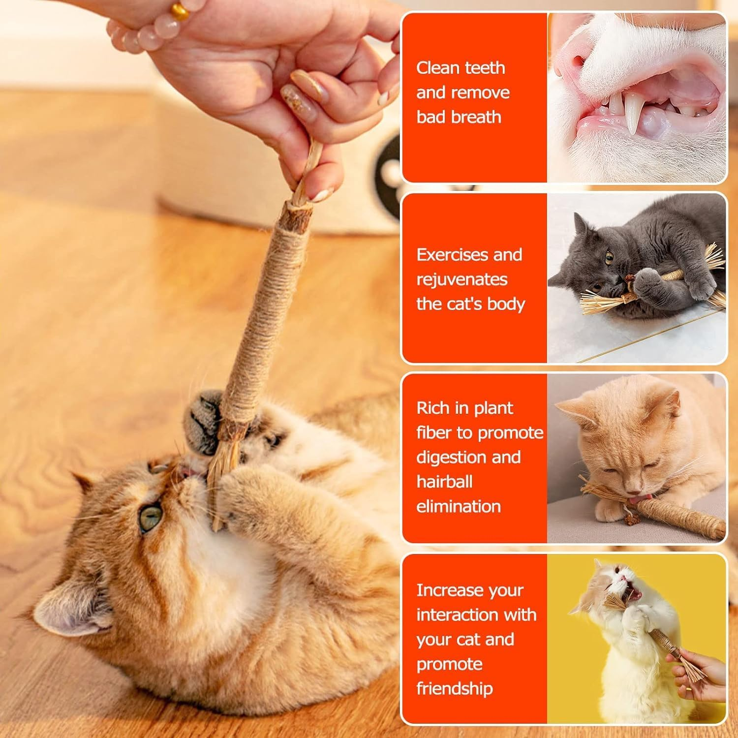 6PCS Catnip Molar Scratch Toys, Self Play Extended Cat Cotton Rope Toys with Silvervine Fruit, Natural Catnip Kittens Cat Chew Toy for Teeth Cleaning, Interactive Cat Dental Stick for Cat Kitty image number 2