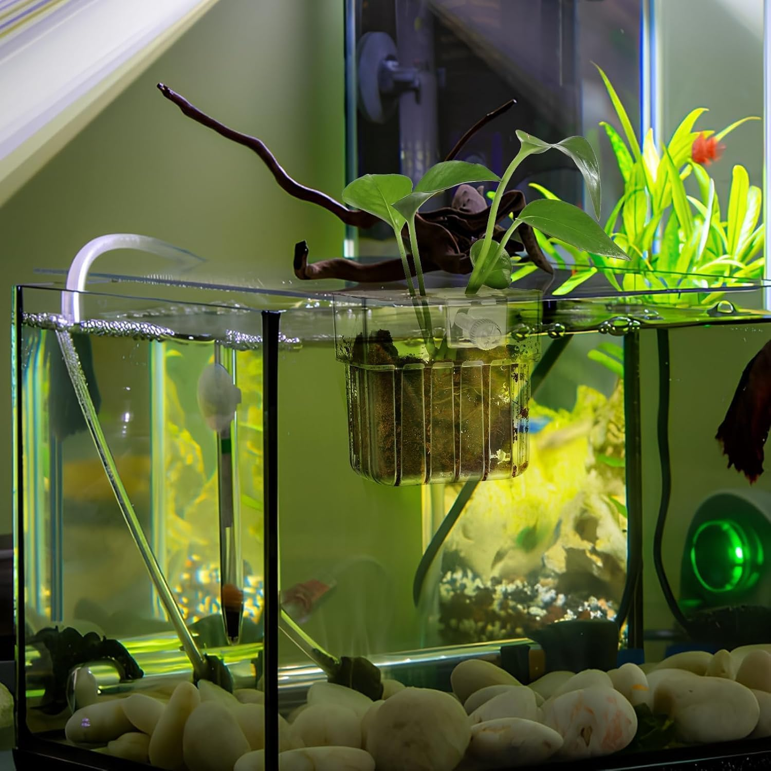 2 Pcs Clear Aquarium Plant Holder,Aquarium Planter Cups for Emersed Plants,Hanging Planter with Hole,Suitable for Aquatic Plant Cultivation and Water Feature Decoration image number 6