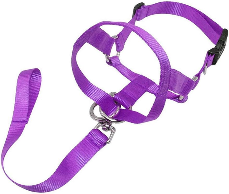 Dog Training Head Collar Halter Stop Pulling Training Tool Harness Strap Leader Purple S