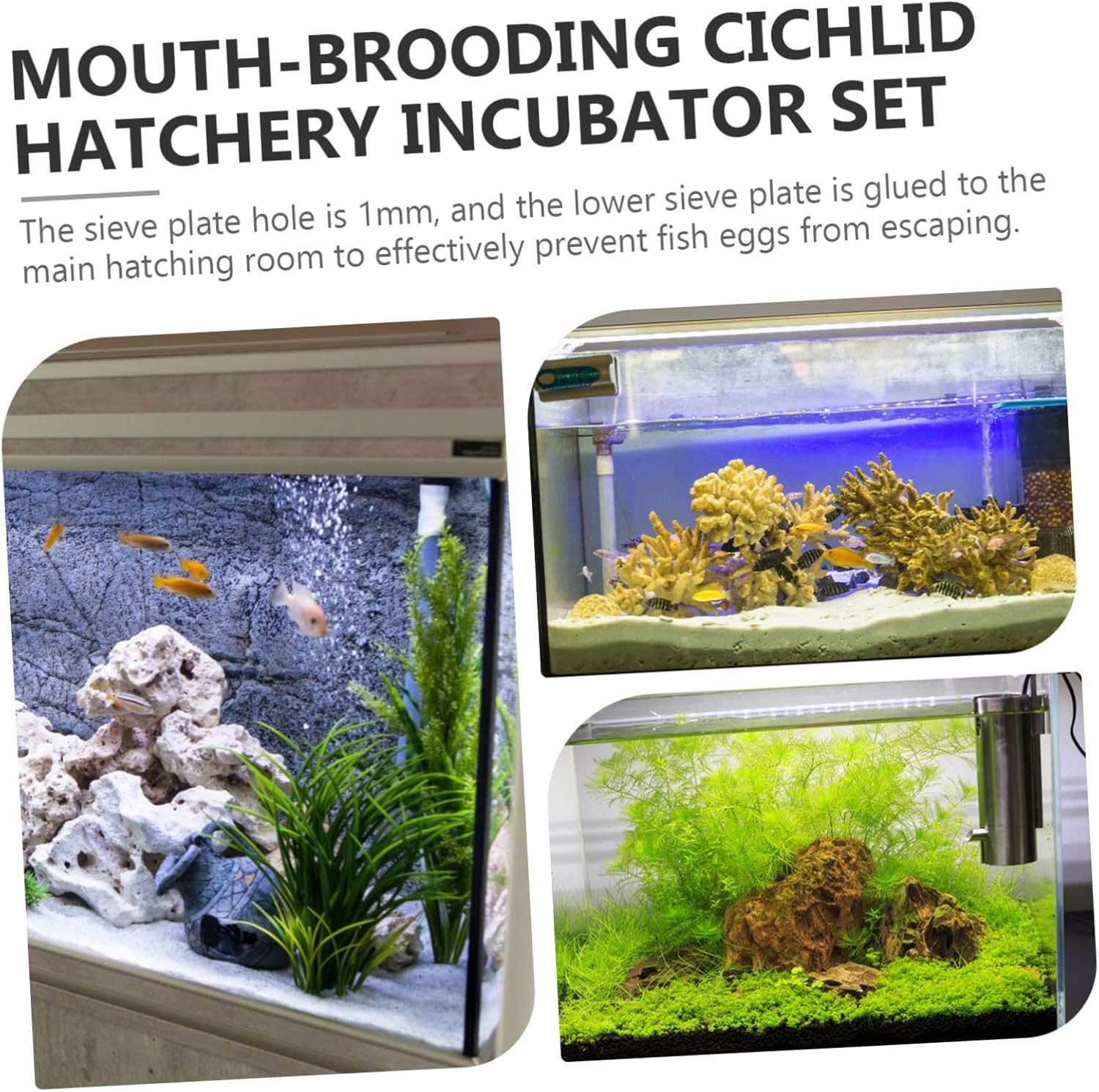 GANAZONO Cichlid Fish Egg Incubator Tube Acrylic Breeding Hatchery for Aquarium Aquatic Pets Prevent Female Fish Feeding Eggs Transparent Hatchery Device image number 4