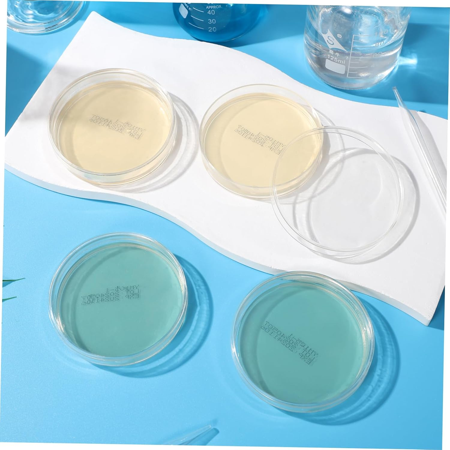 Didiseaon 10Pcs Pre-Poured Agar Plates Nutrient Agar Petri Dishes for Science Experiments Thick Agar for Growth Laboratory Supplies for Use Prepoured Petri Dishes image number 4