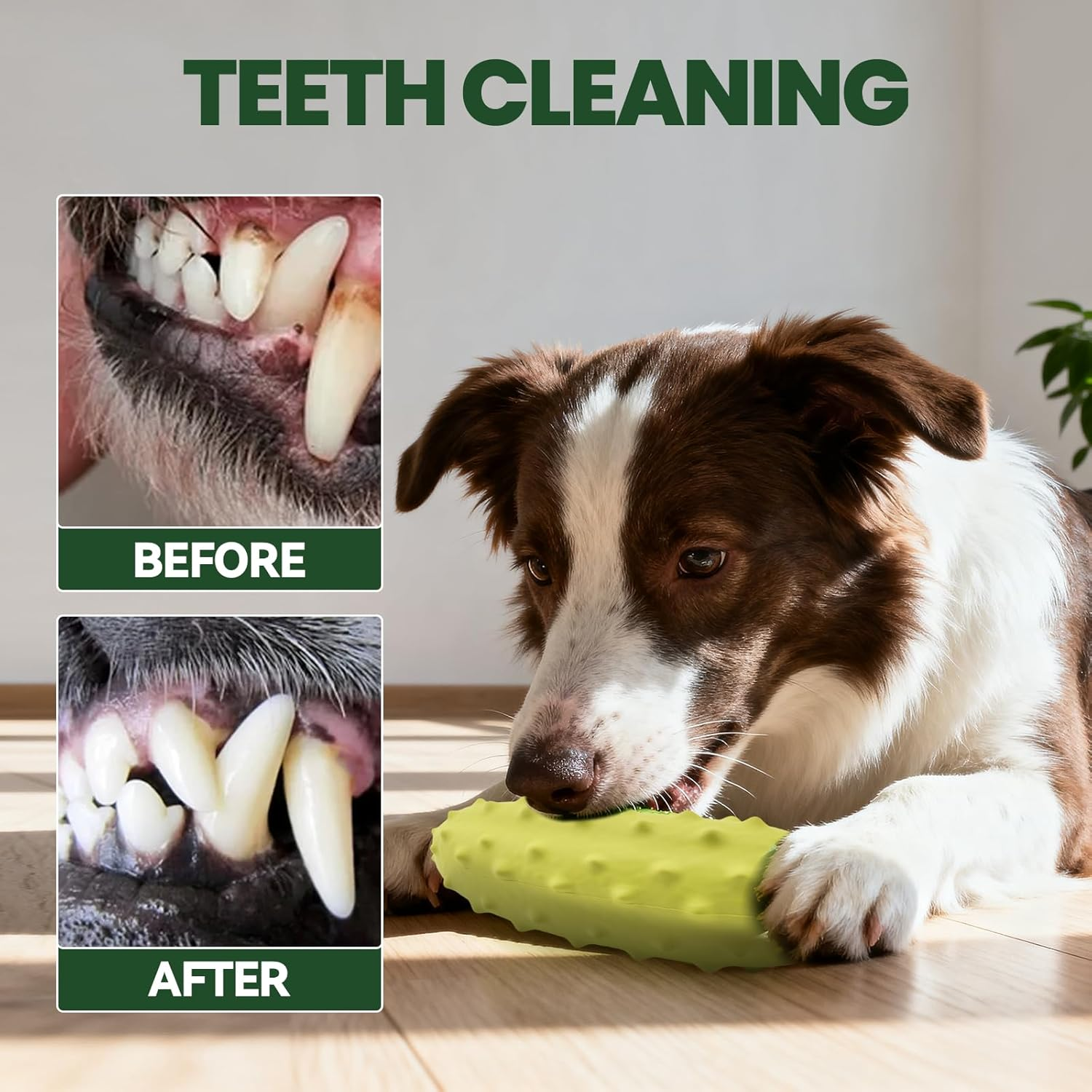 LIFLIX 2PCS Tough Squeaky Dog Toys, Durable Dog Chew Toy with Natural Rubber, Teething Toys for Medium Large Breeds, Yellow and Green Cucumber Pickle image number 2