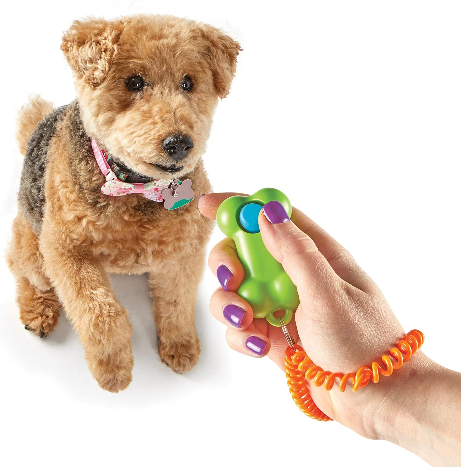Brightkins Smarty Pooch Bone Training Clicker image number 5