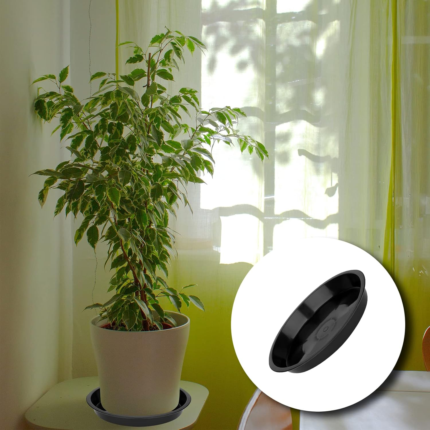 LUTER 12Pcs Garden Plant Saucer, 5.5/6.2/7 Inch round Plant Water Catcher Tray Plastic Plants Trays Flower Pot Drip Trays for Potted Plants (Black)